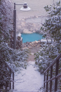 Scenic view of sea by trees during winter