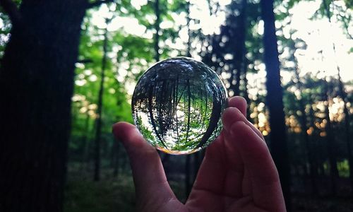 Midsection of person holding crystal ball in forest