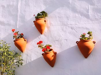 High angle view of potted plants against wall