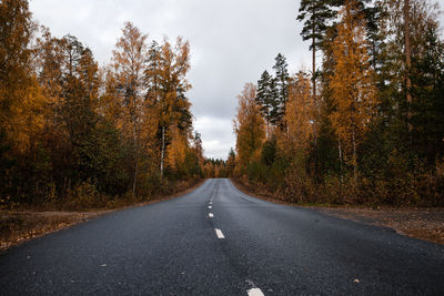 Road amidst trees against sky during autumn