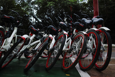 Close-up of bicycle parked on tree