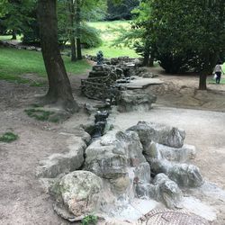 Stone wall by trees in forest