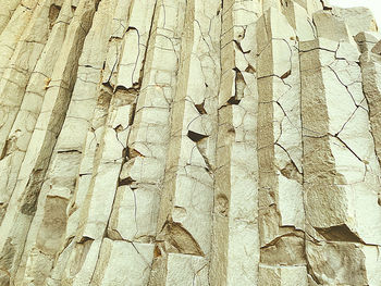 Full frame shot of weathered tree trunk