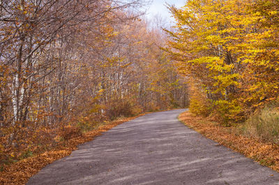 Road amidst trees in forest during autumn