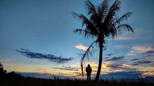 Silhouette of tree on landscape against sunset sky