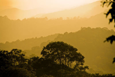 Silhouette trees on landscape against sky during sunset