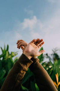 Close-up of hand holding plant against sky