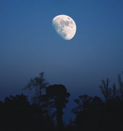 Low angle view of moon in sky at night