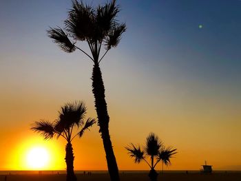 Silhouette coconut palm tree against romantic sky at sunset