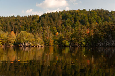 Scenic view of lake in forest against sky