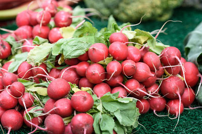 Close-up of radish