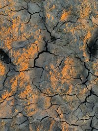 Full frame shot of cracked arid drought ground