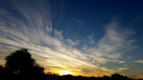 Low angle view of silhouette trees against sky