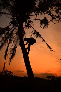 Silhouette man on tree against sky during sunset