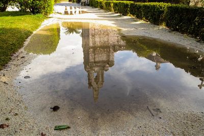 Reflection of grass in puddle