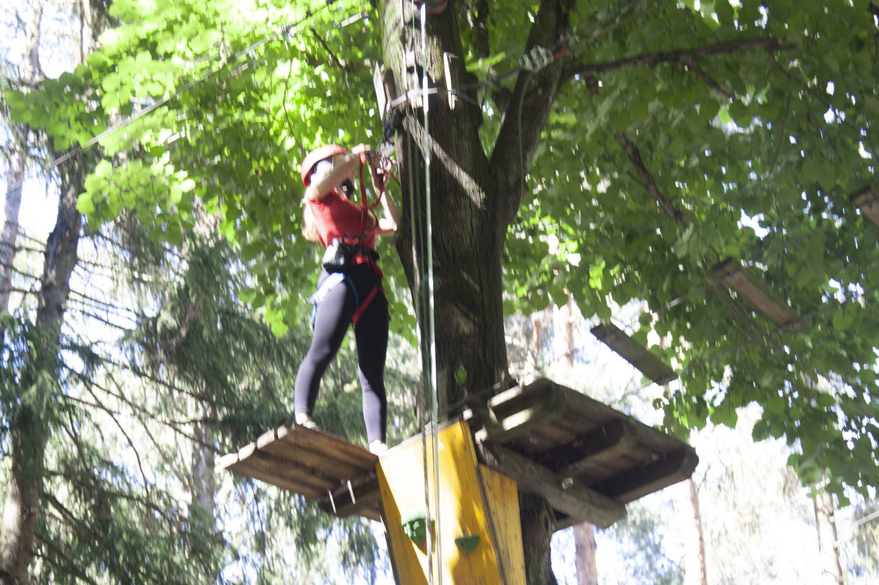 LOW ANGLE VIEW OF WOMAN CLIMBING UP TREE