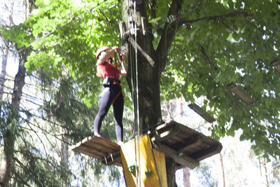 Low angle view of woman climbing on tree in forest