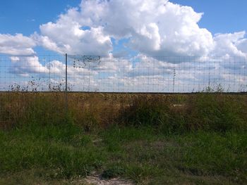 Windmills on field against sky