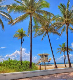 tropical climate