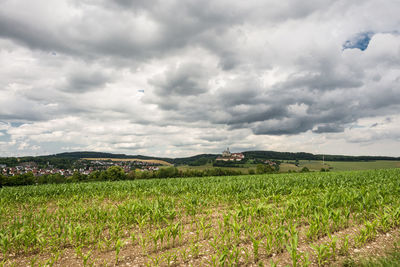 Plants growing on field against cloudy sky