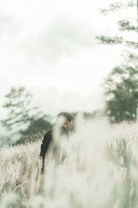 Man on field against trees