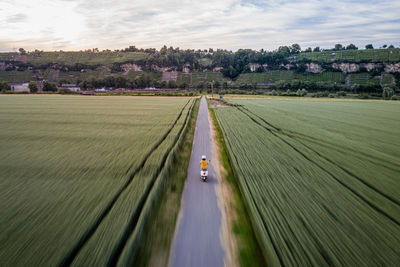 High angle view of agricultural field against sky