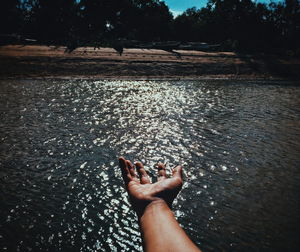 Cropped image of hand against sea at beach