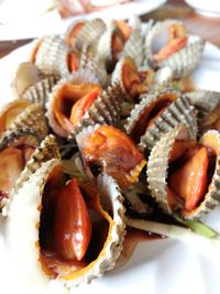 Close-up of crab in plate