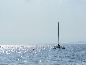 Sailboat sailing on sea against clear sky