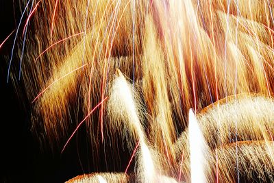 Firework display at night