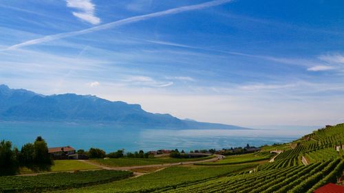 Scenic view of agricultural field against sky