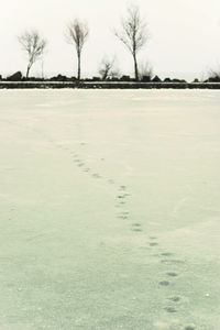 Scenic view of field against sky during winter