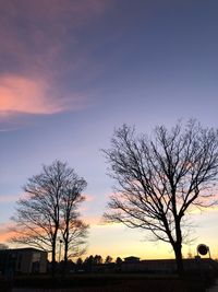 Silhouette bare tree on field against sky at sunset