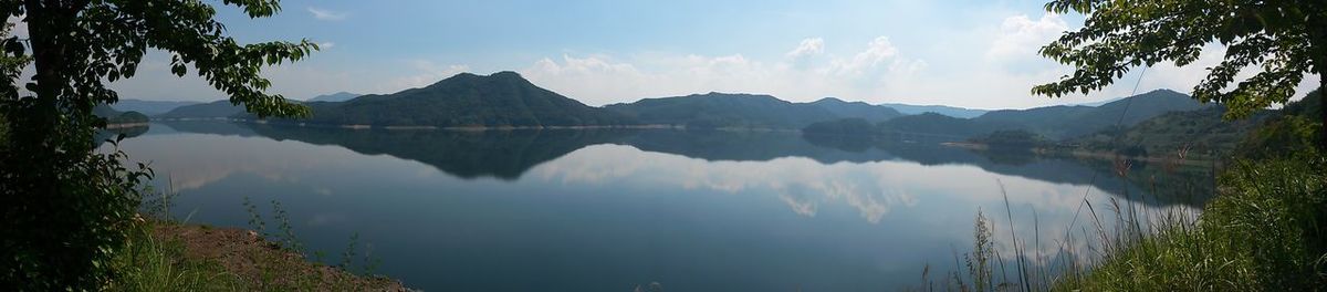 Reflection of trees in calm lake