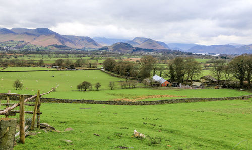 Scenic view of field against sky