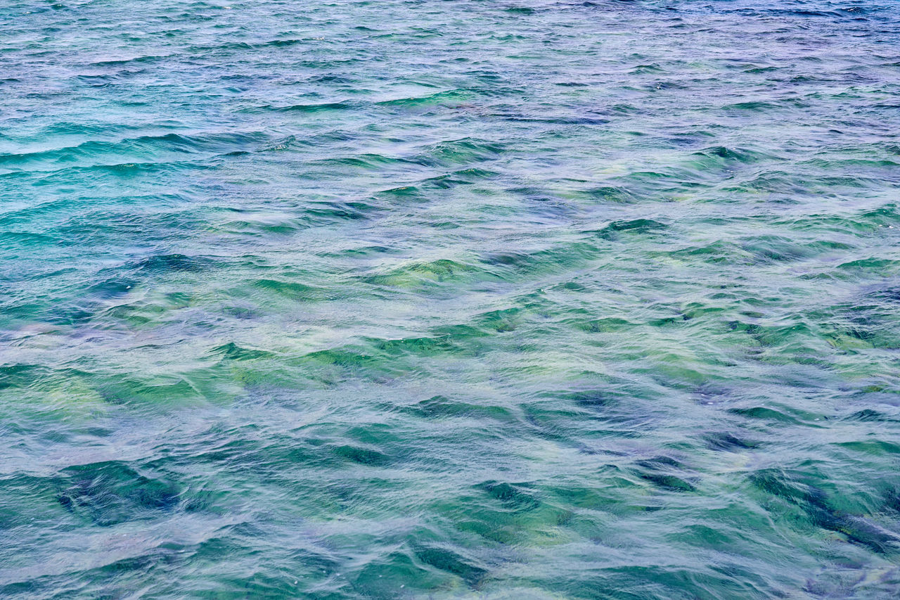 water, wind wave, ocean, full frame, sea, backgrounds, no people, beauty in nature, wave, rippled, waterfront, horizon, blue, nature, scenics - nature, day, outdoors, pattern, coast, tranquility, azure, shore, motion, high angle view, idyllic, tranquil scene