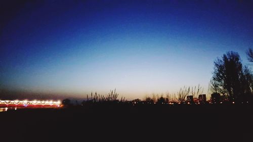 Silhouette of trees against clear sky at night