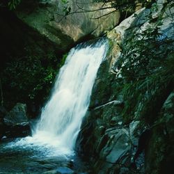 Scenic view of waterfall in forest