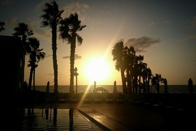 Silhouette of palm trees at sunset