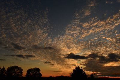 Low angle view of silhouette trees against sky at sunset
