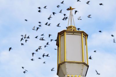 Lamppost and a flock of birds