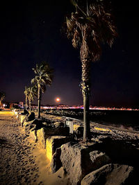 Illuminated tree by sea against sky at night