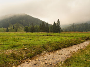 Scenic view of field against sky