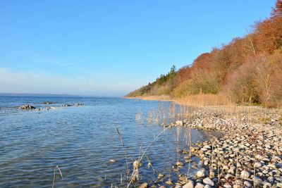 Scenic view of sea against clear sky