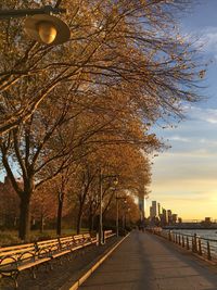 Street amidst trees against sky during autumn