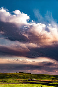 Scenic view of agricultural field against sky