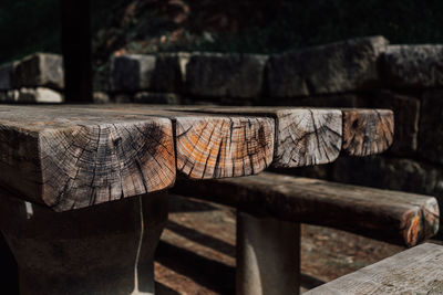 Close-up of logs in forest