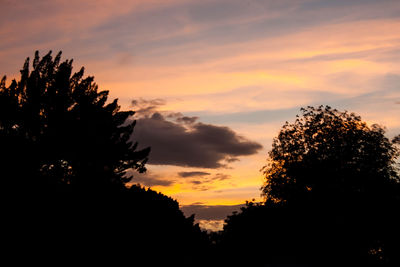 Silhouette of trees at sunset