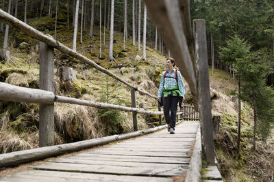 Female hiker walking on boardwalk in forest