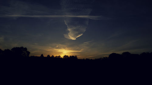 Silhouette trees against sky during sunset
